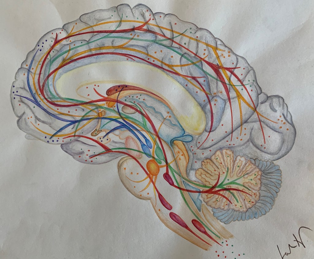 Arte para comunicação da&nbsp;ciência